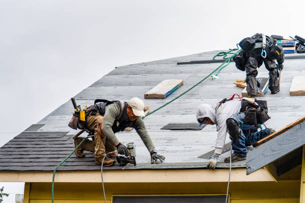 Professional Gutter Installation technician working in Lowden, IA